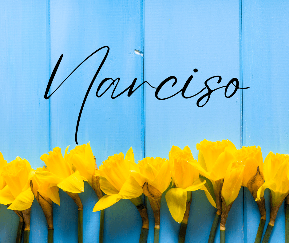 Narciso era un joven que despertaba pasiones  por donde pasaba.